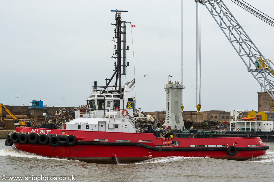 Photograph of the vessel  Smit Belgie pictured in Canada Dock, Liverpool on 3rd August 2019