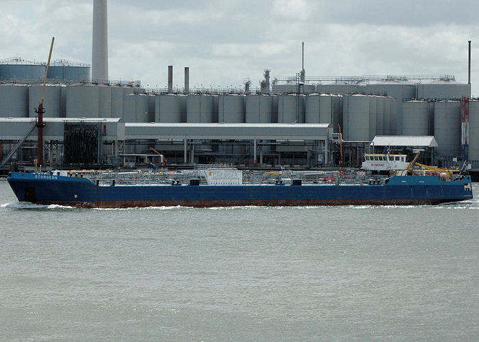 Photograph of the vessel  Sturgeon pictured passing Vlaardingen on 19th June 2010