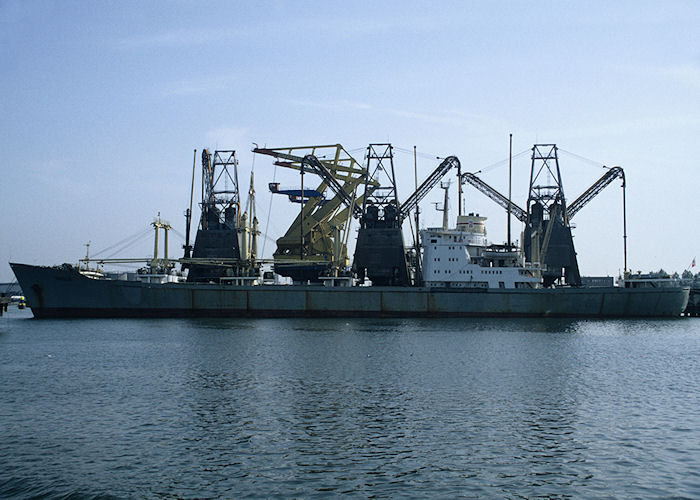 Photograph of the vessel  Swiecie pictured in Botlek, Rotterdam on 27th September 1992