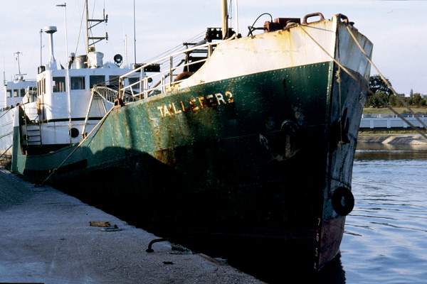 Photograph of the vessel  Taillefer 2 pictured at Vannes on 29th July 1995