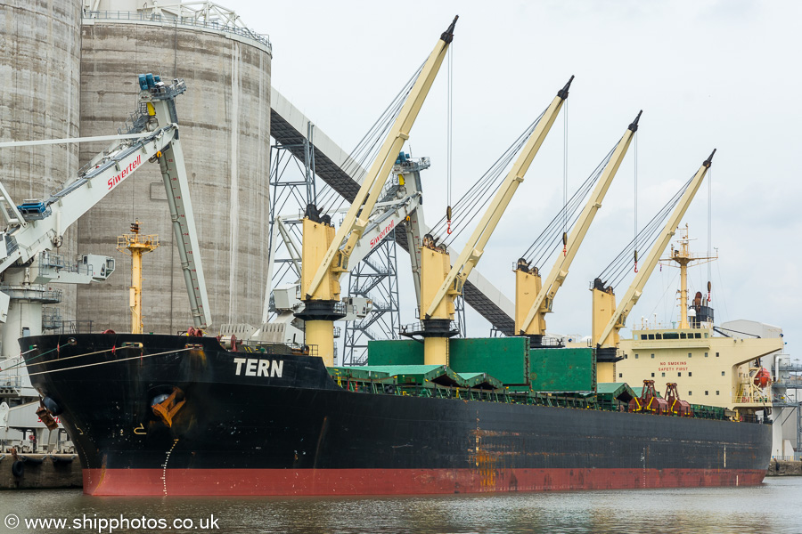 Photograph of the vessel  Tern pictured in Gladstone Branch Dock No. 1, Liverpool on 3rd August 2019