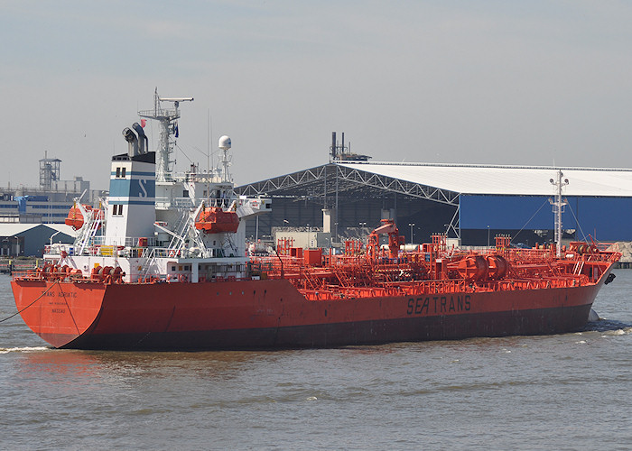 Photograph of the vessel  Trans Adriatic pictured passing Vlaardingen on 27th June 2011