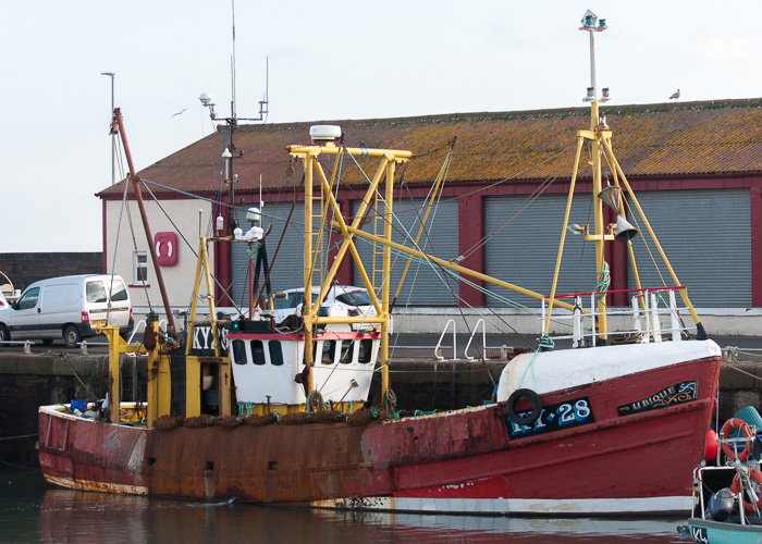 Photograph of the vessel fv Ubique pictured at Arbroath on 10th October 2014