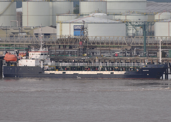 Photograph of the vessel  Wilberforce pictured at Immingham on 27th June 2012