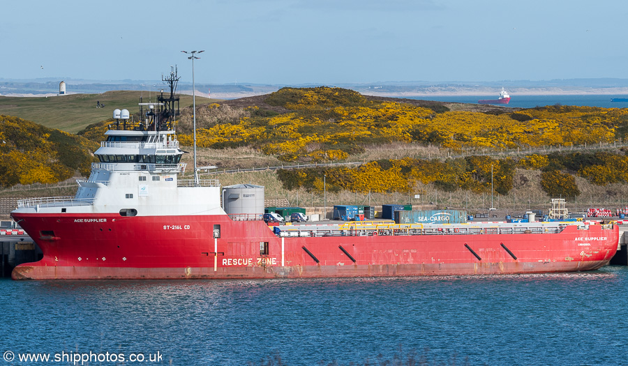Photograph of the vessel  Ace Supplier pictured at Castlegate Quay, Aberdeen South Harbour on 18th March 2025