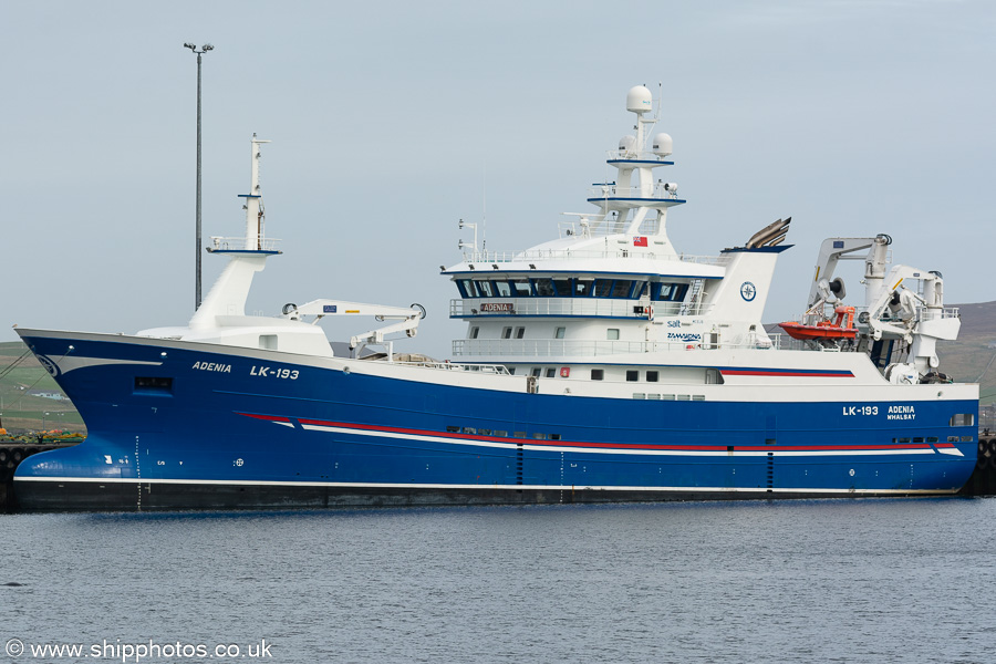 Photograph of the vessel fv Adenia pictured at Mair's Pier, Lerwick on 15th May 2022