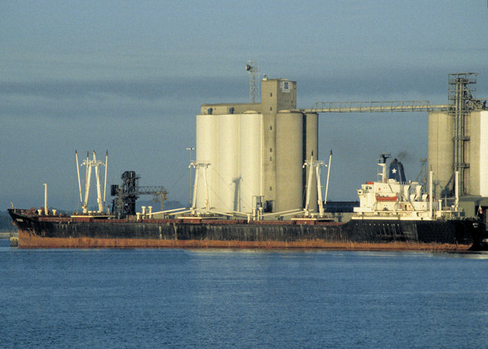 Photograph of the vessel  Afros pictured at Southampton on 15th August 1997