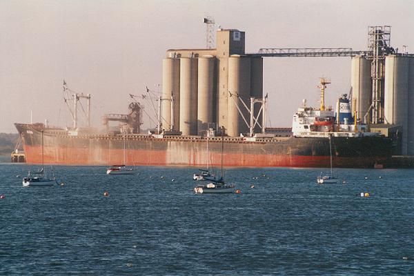 Photograph of the vessel  Alexia pictured in Southampton on 16th November 1995