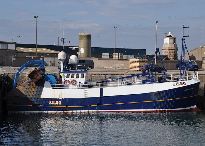 Photograph of the vessel fv Allegiance pictured at Peterhead on 6th May 2013