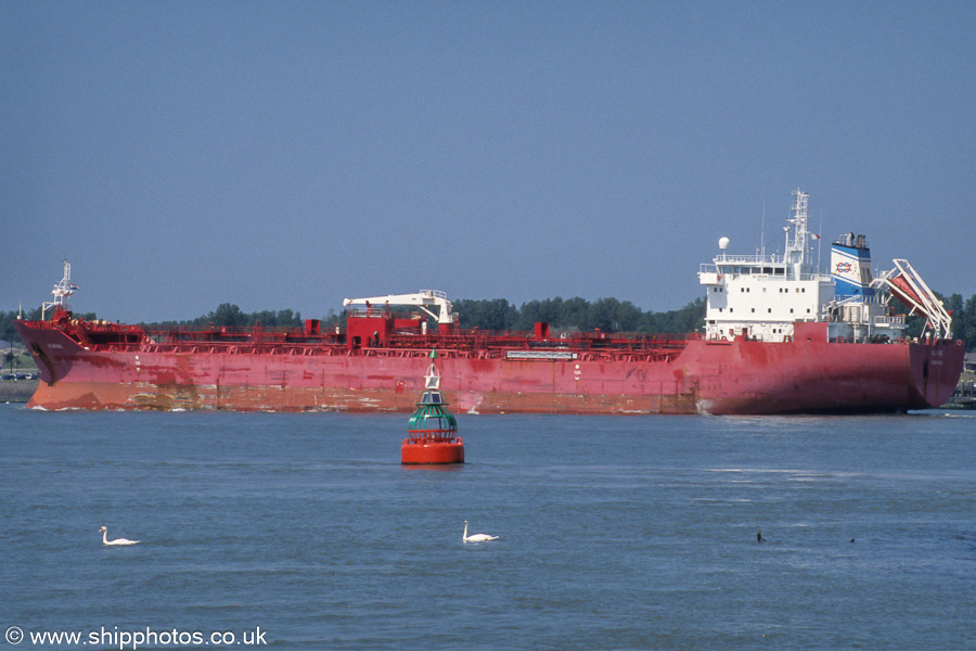 Photograph of the vessel  Almak pictured on the Nieuwe Waterweg on 17th June 2002