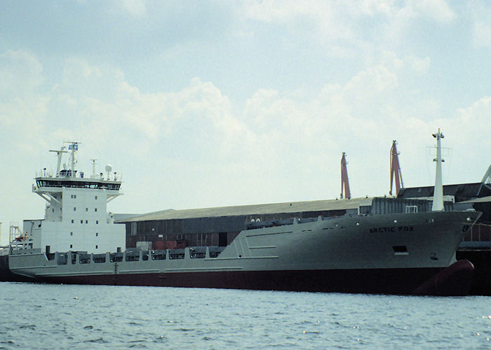  Arctic Fox pictured at Hamburg on 9th June 1997