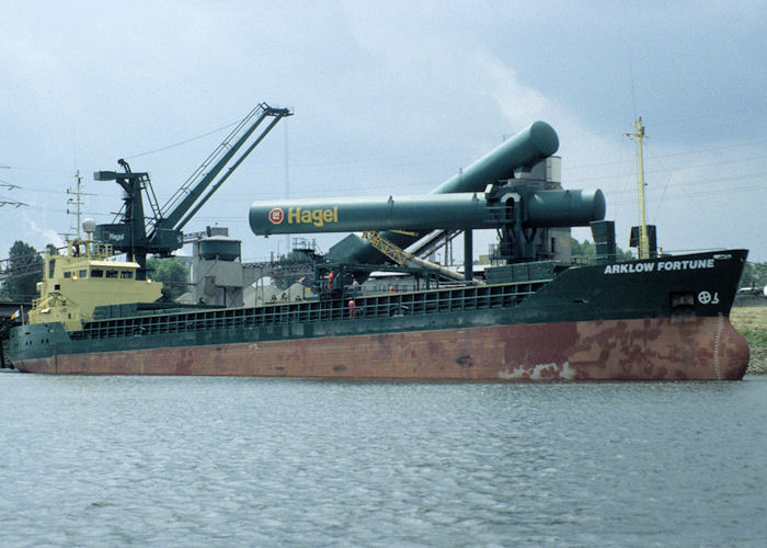 Photograph of the vessel  Arklow Fortune pictured at Hamburg on 9th June 1997