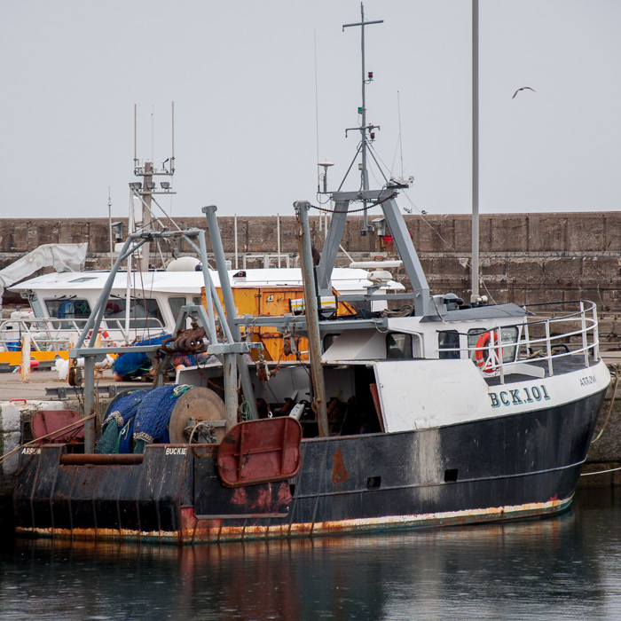 Photograph of the vessel fv Arrow pictured at Buckie on 5th May 2014