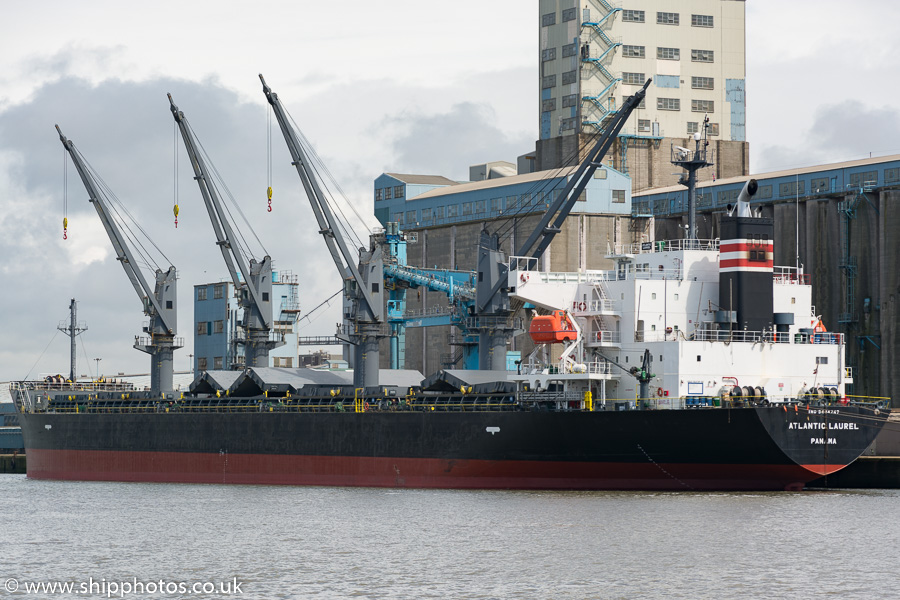 Photograph of the vessel  Atlantic Laurel pictured in Royal Seaforth Dock, Liverpool on 20th June 2015