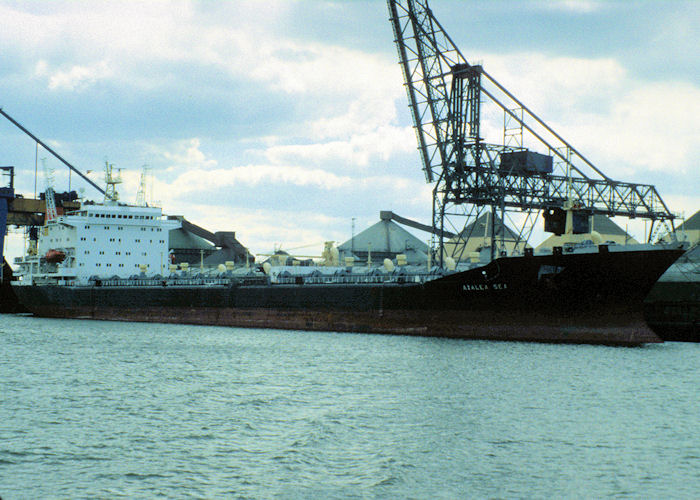  Azalea Sea pictured in Rotterdam on 20th April 1997