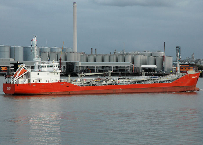 Photograph of the vessel  Bellini pictured passing Vlaardingen on 20th June 2010