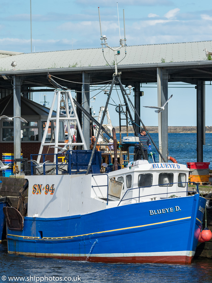 fv Blueye D pictured at the Fish Quay, North Shields on 20th June 2019