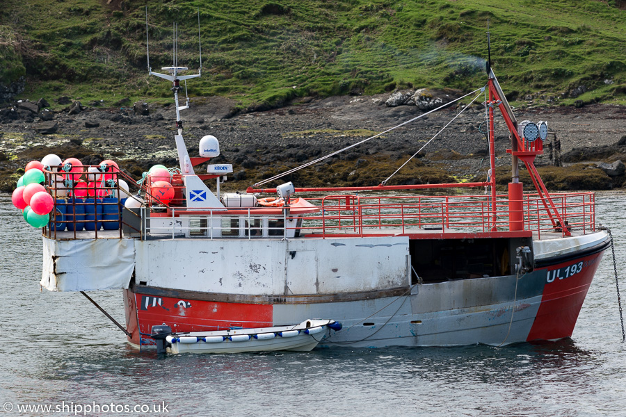 Photograph of the vessel fv Bountifull pictured at Dunvegan on 18th May 2016