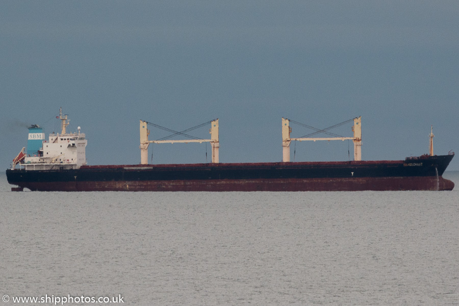 Photograph of the vessel  Brasschaat pictured at anchor off Tynemouth on 9th December 2016