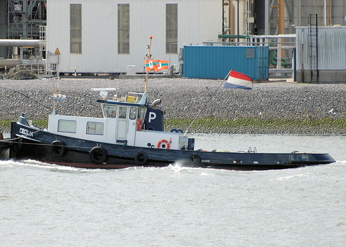 Photograph of the vessel  Cecilia pictured passing Vlaardingen on 21st June 2010