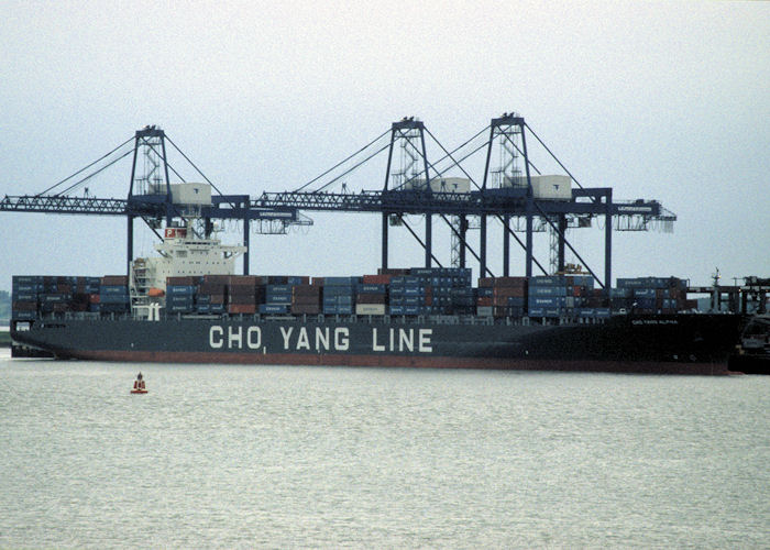 Photograph of the vessel  Choyang Alpha pictured at Felixstowe on 26th May 1998