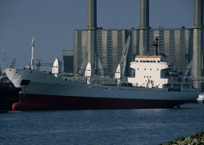  Diamond Reefer pictured in Waalhaven, Rotterdam on 14th April 1996