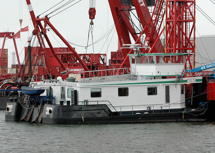 Photograph of the vessel  Dieni pictured in Wiltonhaven, Rotterdam on 20th June 2010