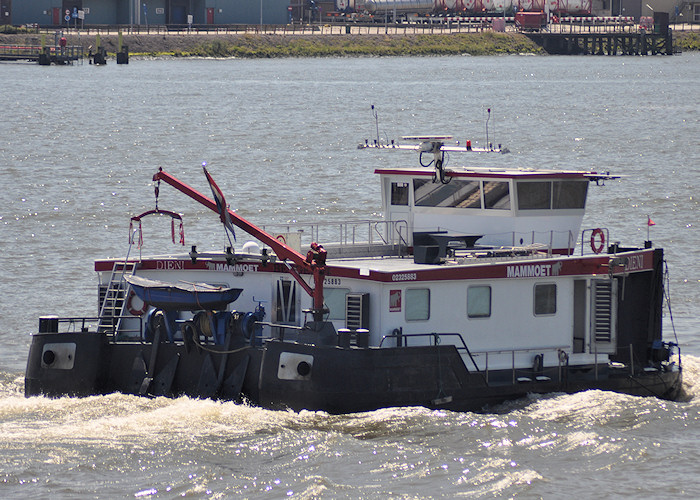 Photograph of the vessel  Dieni pictured passing Vlaardingen on 27th June 2011