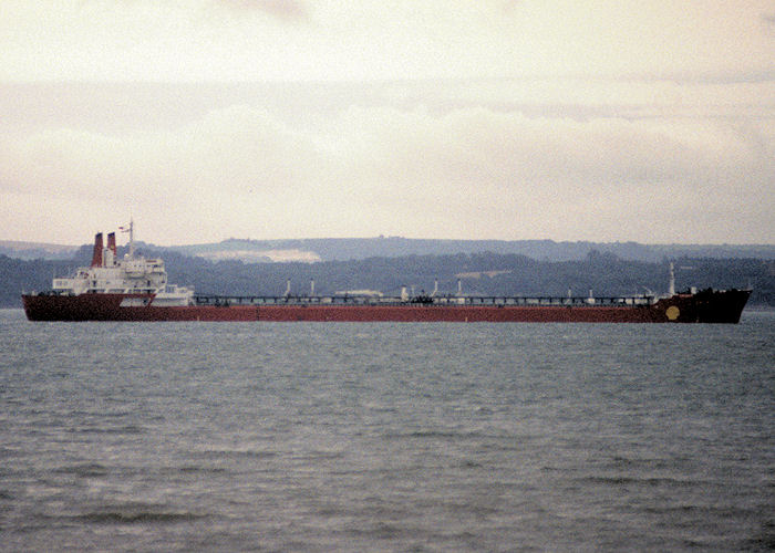 Photograph of the vessel  Drupa pictured at anchor in the Solent on 11th August 1991