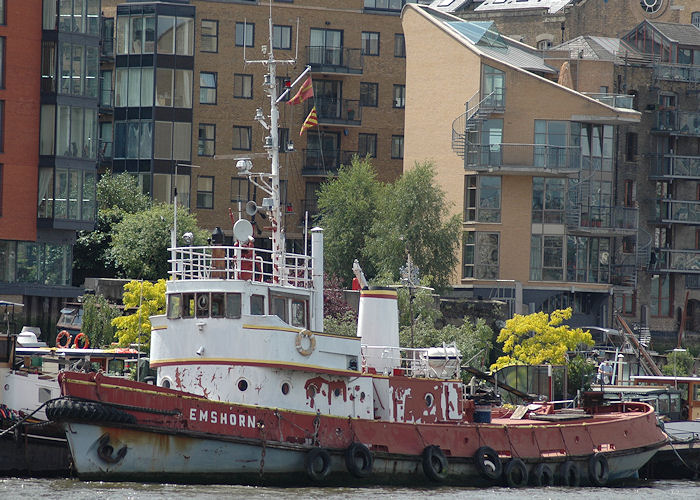  Emshorn pictured in London on 14th June 2009