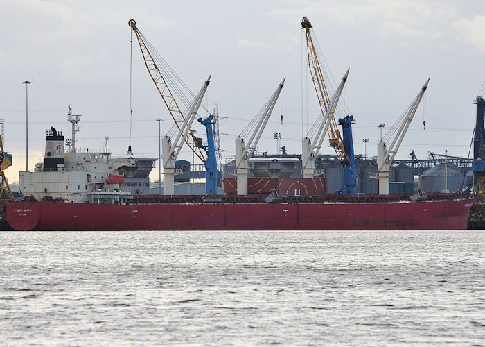 Photograph of the vessel  Federal Baffin pictured at Jarrow on 28th December 2013
