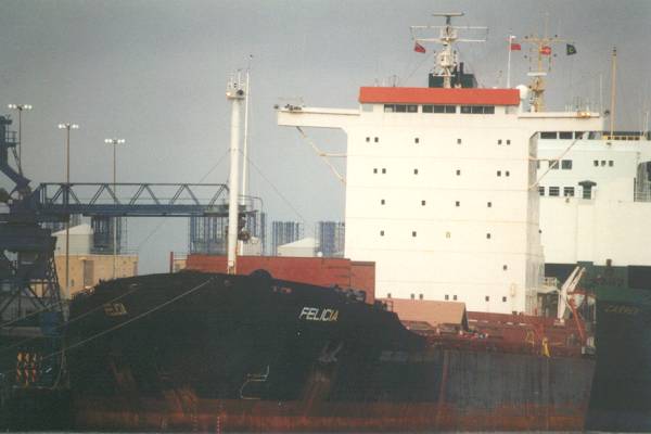 Photograph of the vessel  Felicia pictured in Southampton on 6th November 1997