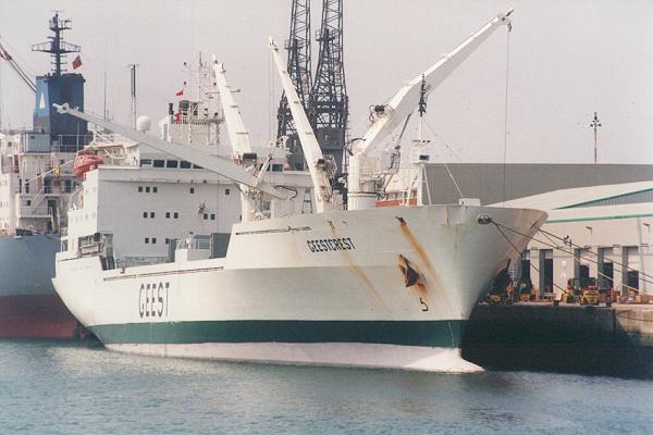 Photograph of the vessel  Geestcrest pictured in Southampton on 10th July 1995