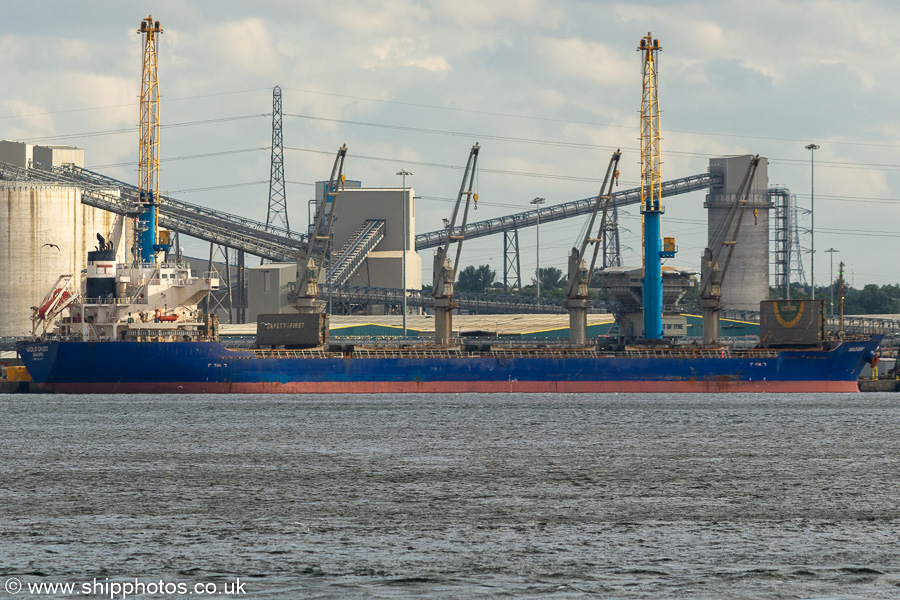 Photograph of the vessel  Gold Dust pictured at Riverside Quay, Jarrow on 13th August 2021