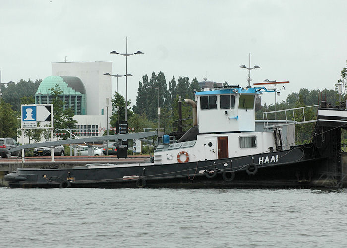  Haai pictured in Maashaven, Rotterdam on 20th June 2010