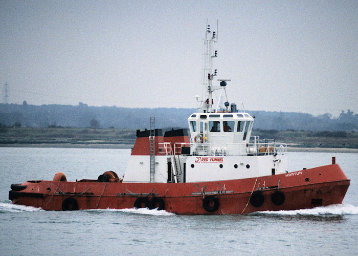 Photograph of the vessel  Hamtun pictured at Southampton on 21st January 1993