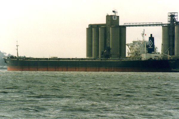  Lissom Hunter pictured in Southampton on 23rd February 1997