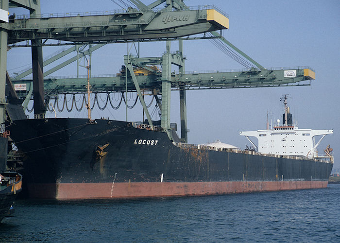 Photograph of the vessel  Locust pictured in Mississippihaven, Europoort on 27th September 1992