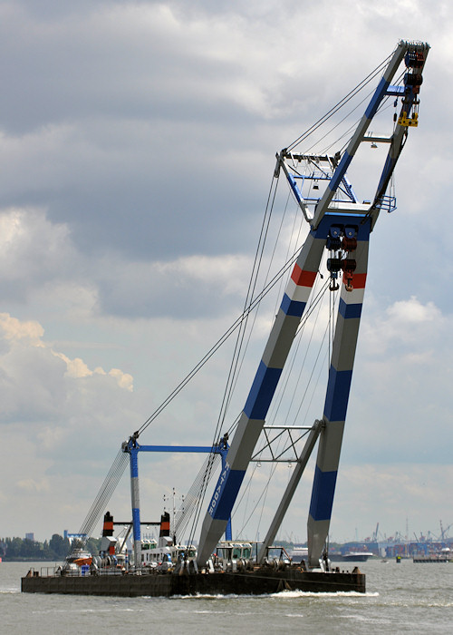 Photograph of the vessel  Matador pictured under tow past Vlaardingen on 24th June 2011