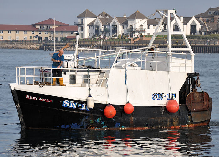 Photograph of the vessel fv Miley Adelle pictured at the Fish Quay, North Shields on 22nd August 2013