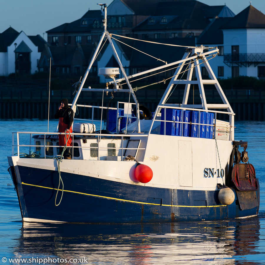 Photograph of the vessel fv Miley Adelle pictured at the Fish Quay, North Shields on 27th December 2015
