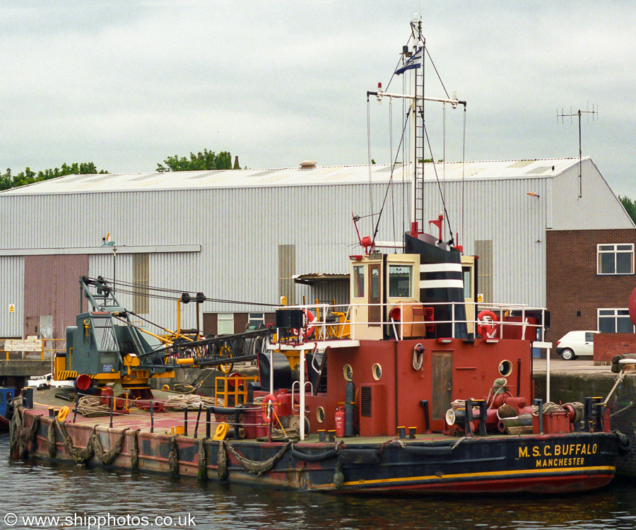 Photograph of the vessel  MSC Buffalo pictured at Runcorn on 29th June 2002