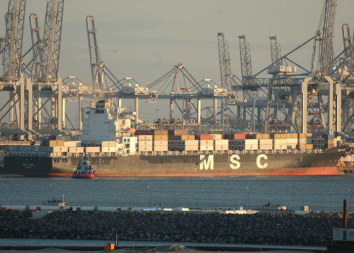 Photograph of the vessel  MSC Lisa pictured in Europahaven, Europoort on 21st June 2010