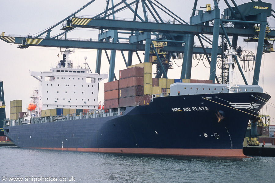 Photograph of the vessel  MSC Rio Plata pictured in Bevrijdingsdok, Antwerp on 20th June 2002