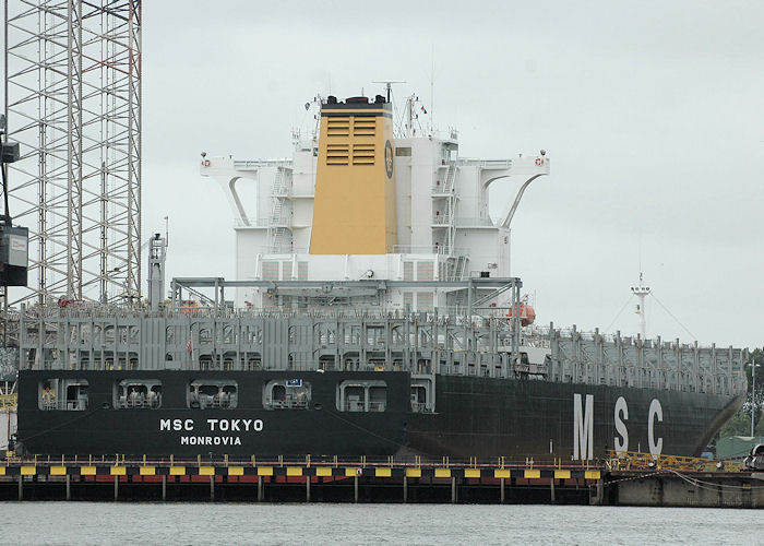 Photograph of the vessel  MSC Tokyo pictured in dry dock in Botlek, Rotterdam on 20th June 2010