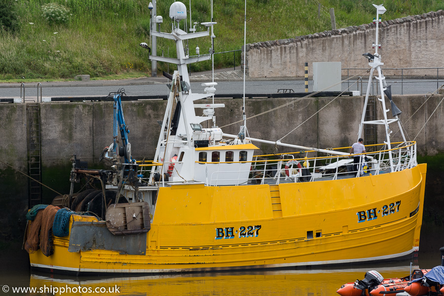 Photograph of the vessel fv Nimrod pictured at Eyemouth on 5th July 2015