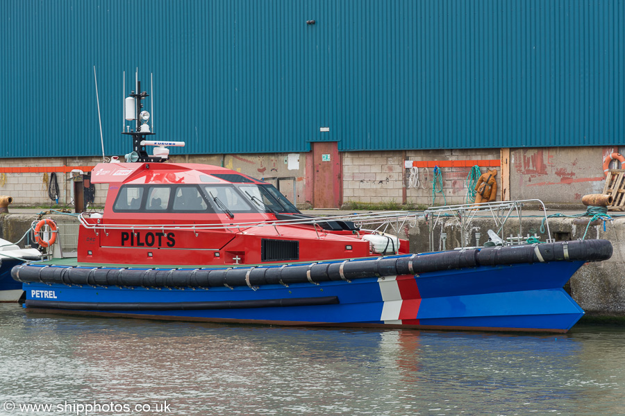 Photograph of the vessel pv Petrel pictured in Brocklebank Dock, Liverpool on 3rd August 2019
