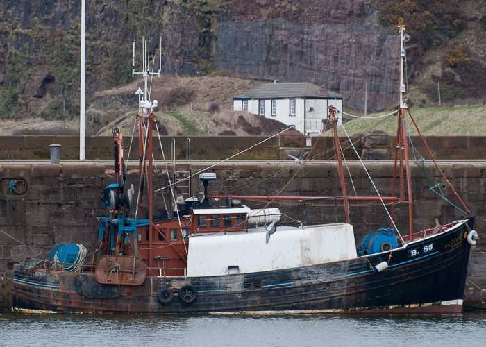 Photograph of the vessel fv Pilot Star pictured at Whitehaven on 22nd March 2014