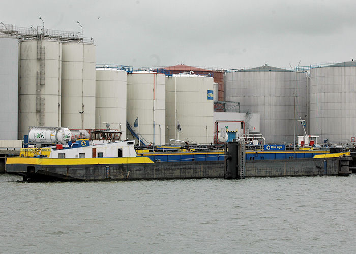 Photograph of the vessel  Piz Kekes pictured in Botlek, Rotterdam on 20th June 2010