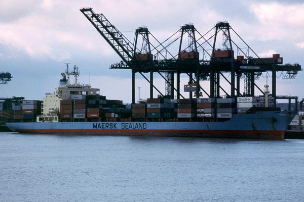 Photograph of the vessel  Sea-Land Developer pictured in Felixstowe on 18th March 2001